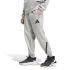 Adidas M Z.N.E. PT, muške pantalone, siva