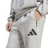 Adidas M Z.N.E. PT, muške pantalone, siva