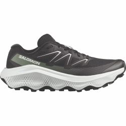 Salomon ULTRA FLOW 2, muške patike za trail trčanje, crna