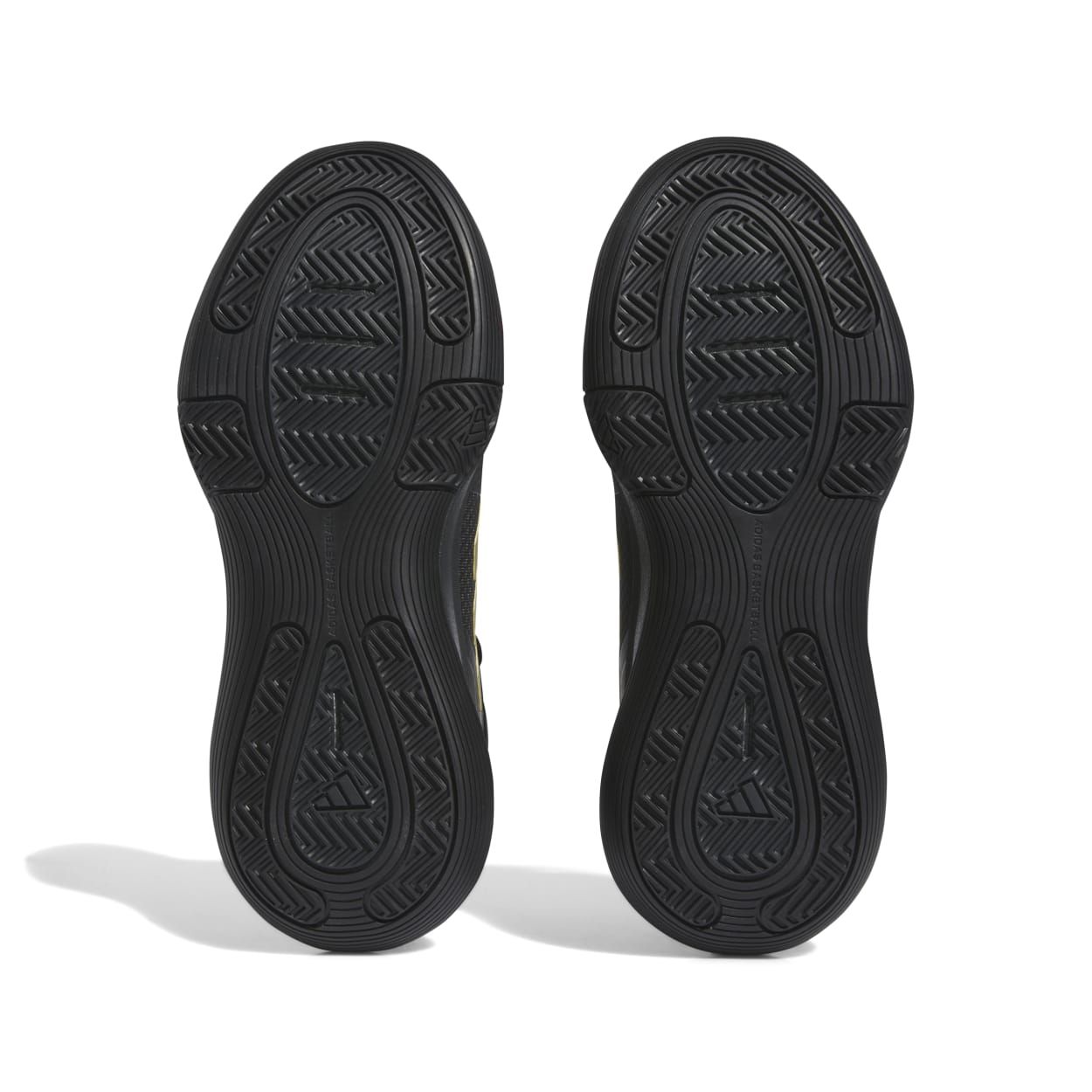 Adidas BOUNCE LEGENDS, muške patike za košarku, crna