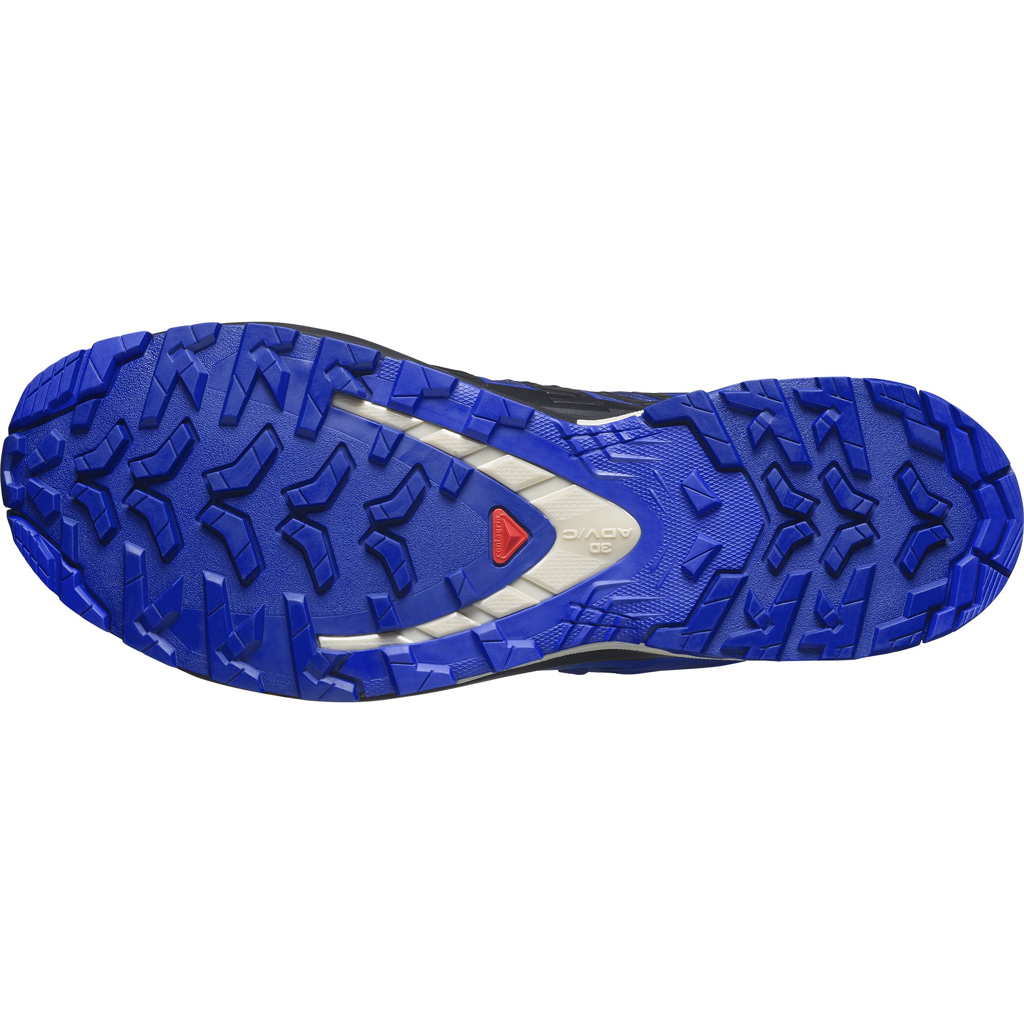 Salomon XA PRO 3D V9 GTX, muške patike za trail trčanje, plava