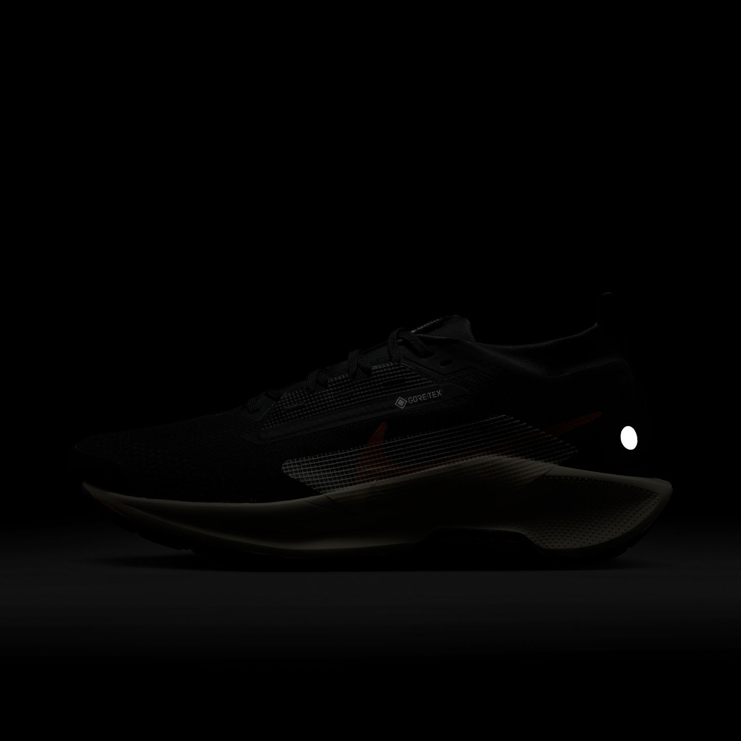 intersport nike pegasus trail