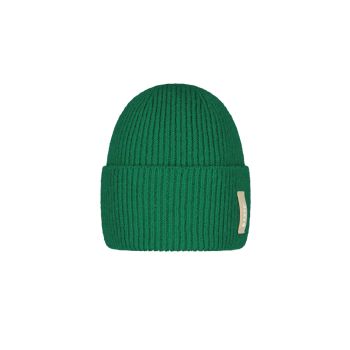 Barts FYRBY BEANIE, kapa, zelena