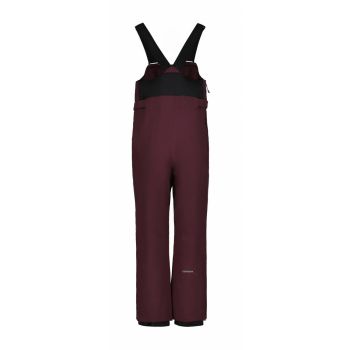 Icepeak LOURDES JR, dječije pantalone za skijanje, crvena