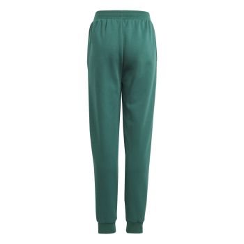 Adidas J BLUV Q3 PANT, dječije pantalone, zelena