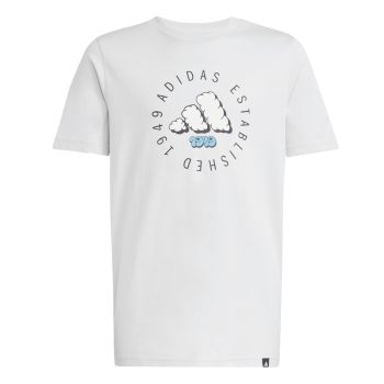 Adidas J FUN TEE, dječija majica, siva