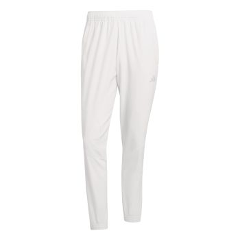 Adidas M WV PT, muški donji dio trenerke, siva