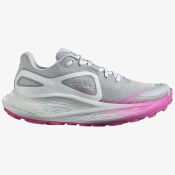 Salomon GLIDE MAX TR W, ženske patike za trail trčanje, siva