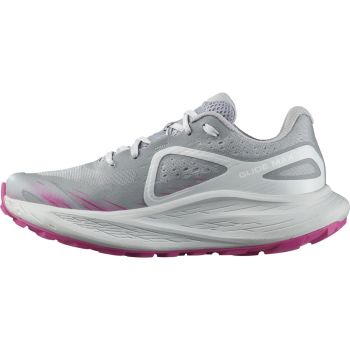 Salomon GLIDE MAX TR W, ženske patike za trail trčanje, siva