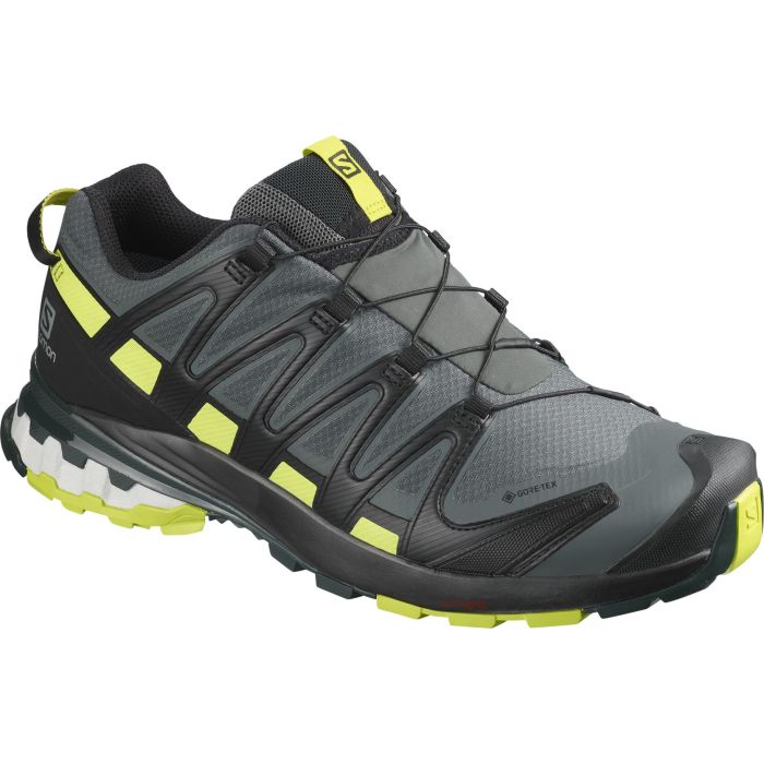 salomon xa pro 3d intersport