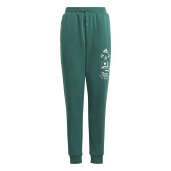 Adidas J BLUV Q3 PANT, dječije pantalone, zelena